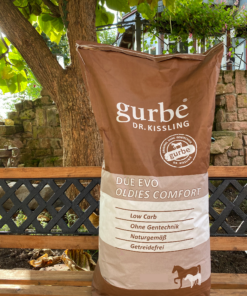 Alternative view of Gurbe DUE EVO Oldies Comfort