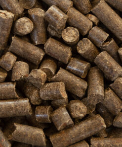 Alternative view of Urfutter Urpferdchens Leckerbissen Karotte 1kg