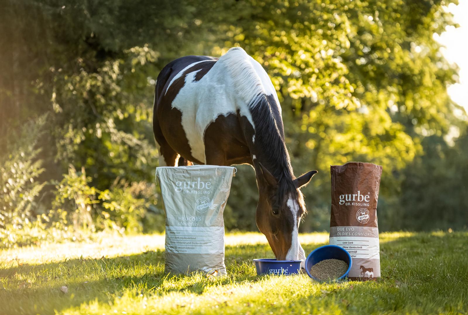 44d64c99-014b-45e4-96b4-eb7d4110988d